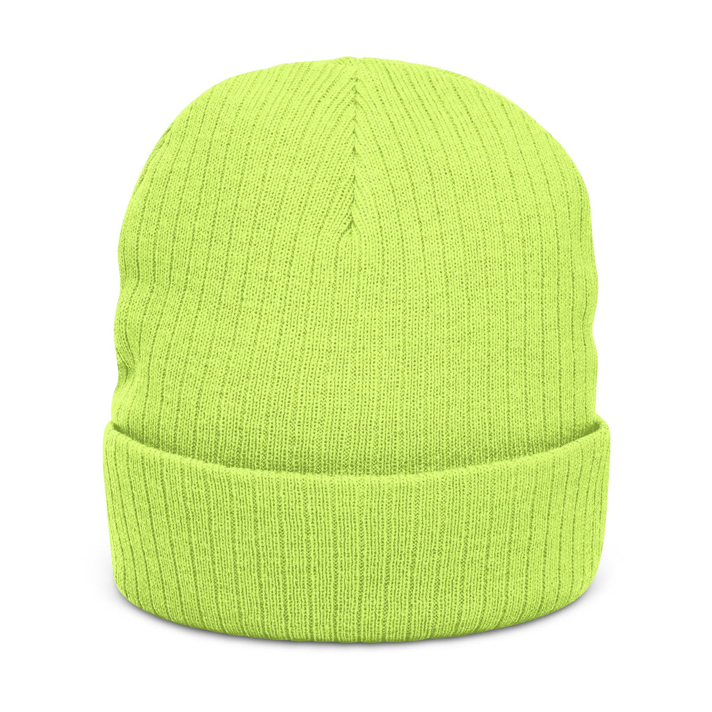 Ginger Ghost Embroidered Ribbed Beanie